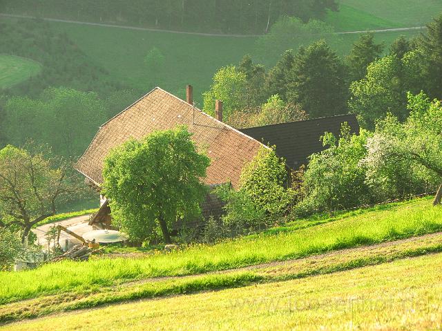 Sonnenuntergang am Joosenhof.JPG